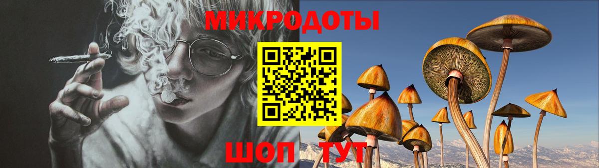Псилоцибиновые грибы GOLDEN TEACHER Надым